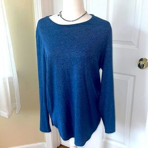 NWOT Ann Taylor long sleeve blue shirt L (10-12)